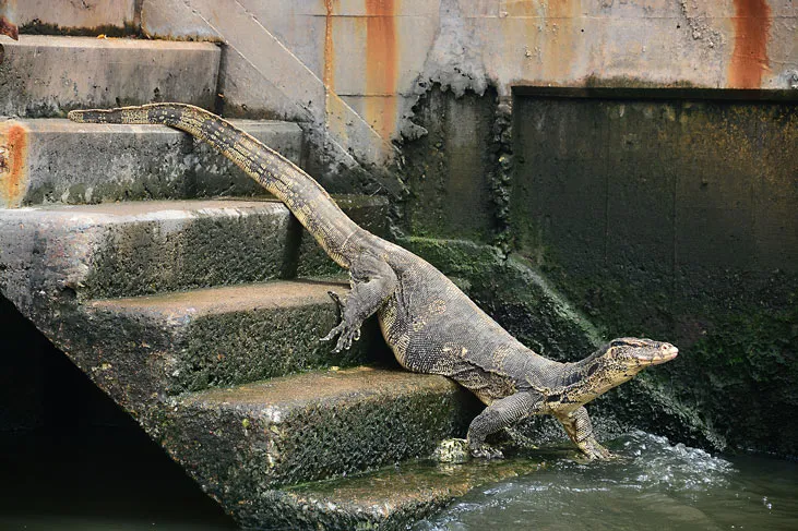 Long-tail boat ride that will be a highlight of your Bangkok trip