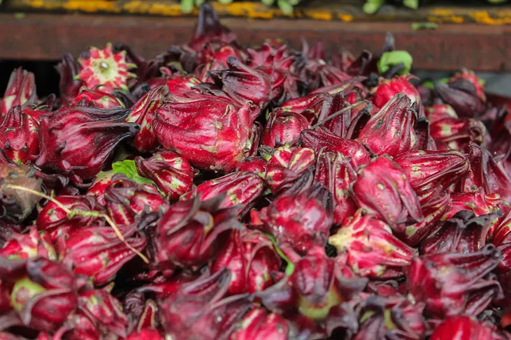 Experience a wet market and learn about Thai herbs and spices